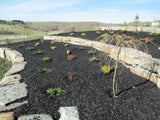 Designer Series - Black Mulch   1 cu/yd