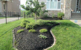 Designer Series - Black Mulch   1 cu/yd