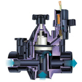 RB Globe Angle Valve 2 in.