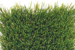 Selkirk Elite 104 oz   15 ft wide